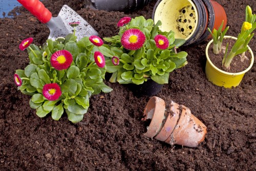 Landscape design and planting in a Hackbridge garden