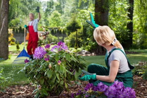Soft landscaping work for a Hackbridge garden with planting and lawn preparation