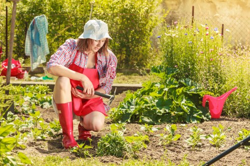 Client complaint review during a landscaping project
