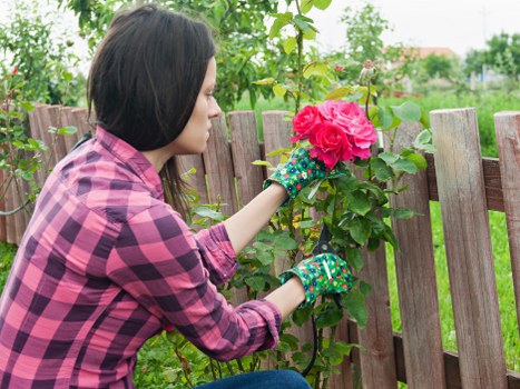 Emergency safety procedures on a landscaping site
