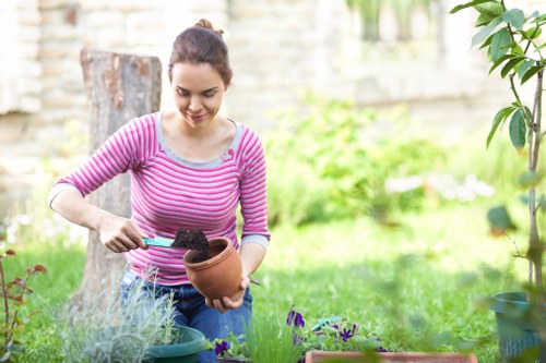 Local team planning garden drainage around a patio area