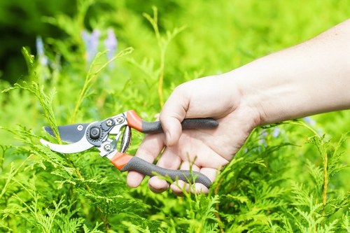 Landscape team preparing equipment with safety focus