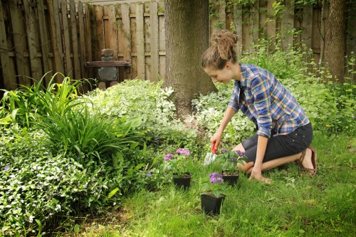 Low-maintenance garden landscaping ideas suited to Hackbridge properties