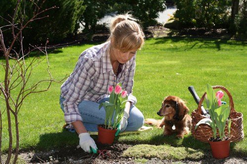 Fresh garden layout and planting features for Hackbridge homes and businesses