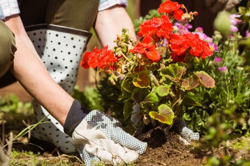 Second-stage review of a landscaping complaint