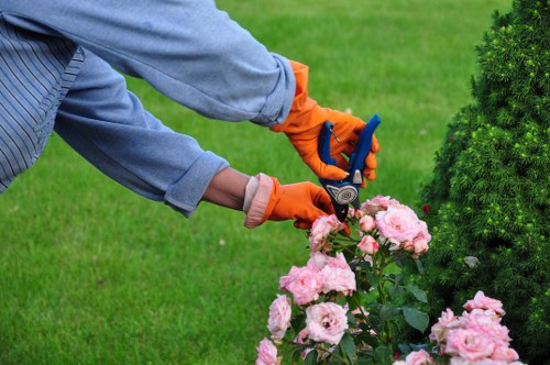 Patio, planting, and paving options for a Hackbridge garden redesign